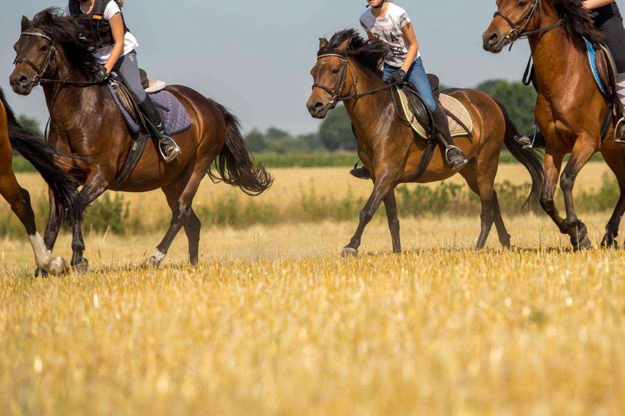 Ferienwohnungen Georgenbruch Everswinkel Ngoại thất bức ảnh