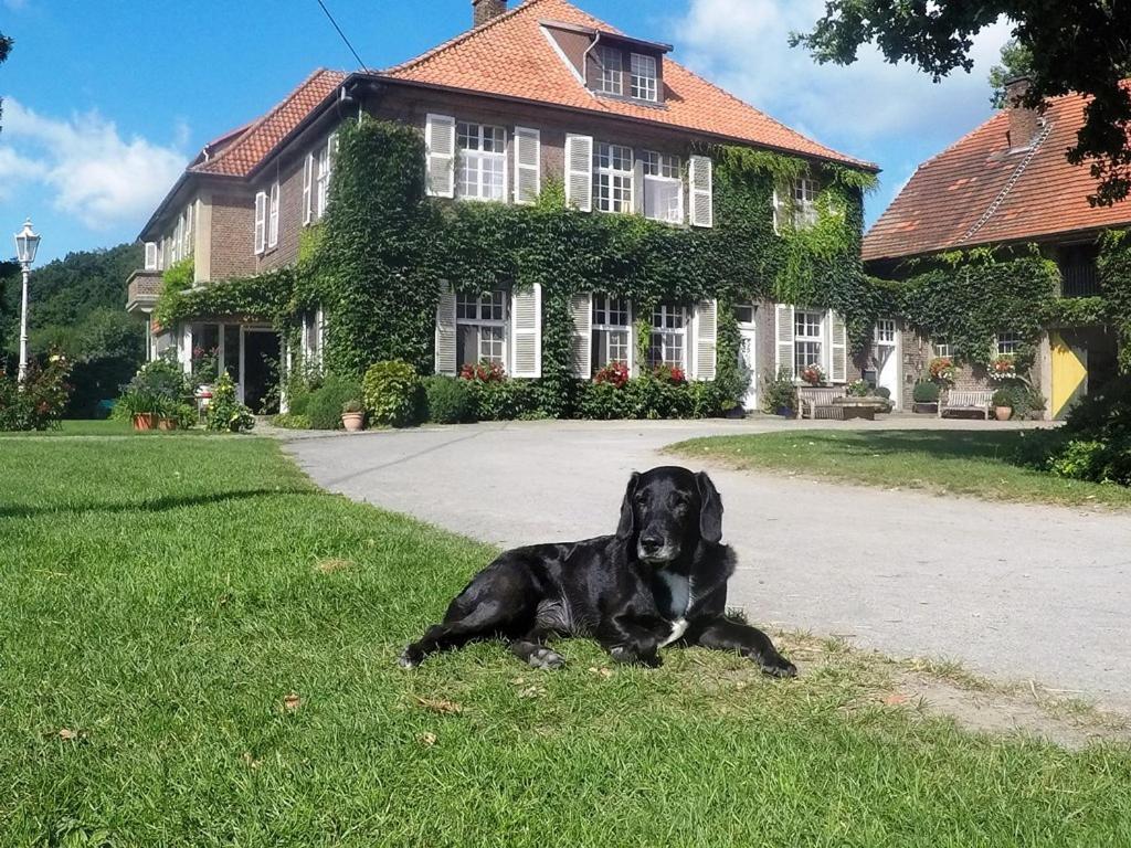 Ferienwohnungen Georgenbruch Everswinkel Ngoại thất bức ảnh
